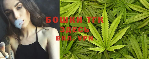 сатива Верхний Тагил