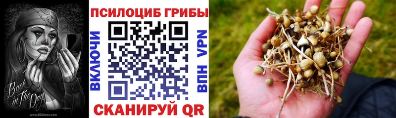 Псилоцибиновые грибы Magic Shrooms даркнет сайт Джанкой